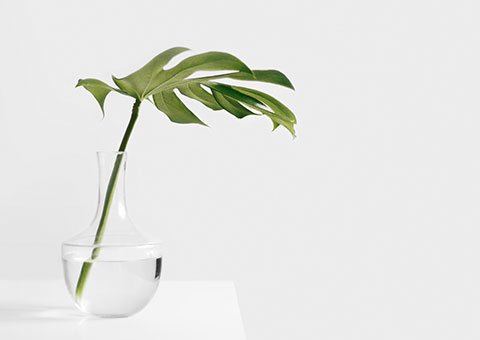 Couture Brand Identity